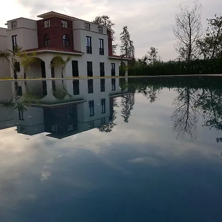 Sapanca Natura Papatya *