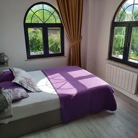 Sapanca Natura Papatya Villa Sakarya (Marmara)